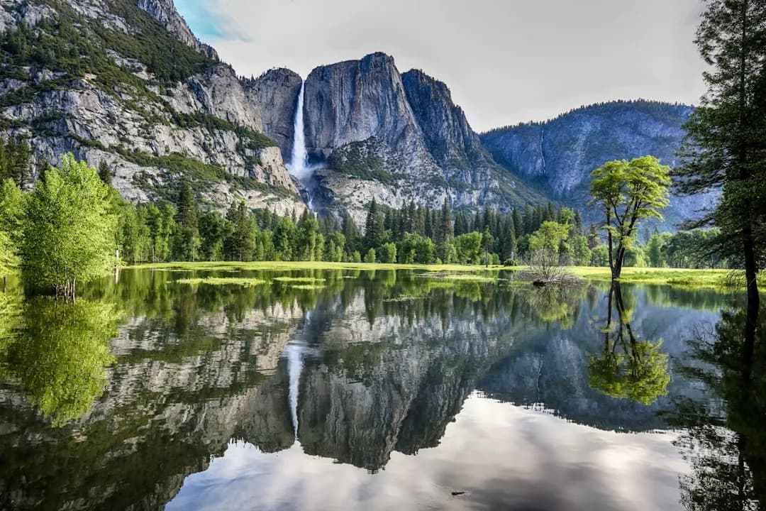 Yosemite National Park